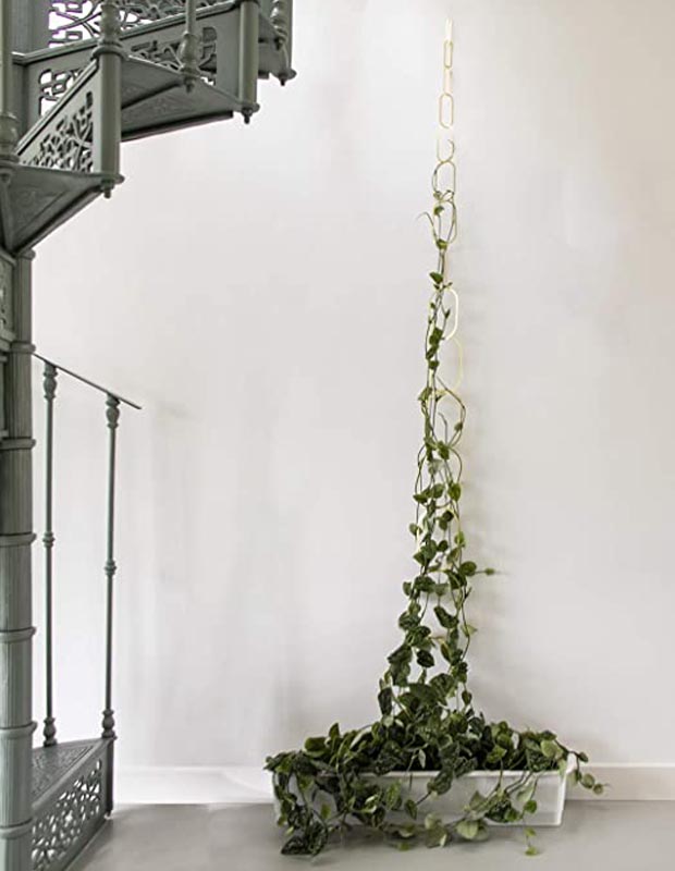 Supporto per piante rampicanti - Fiorellaia shop